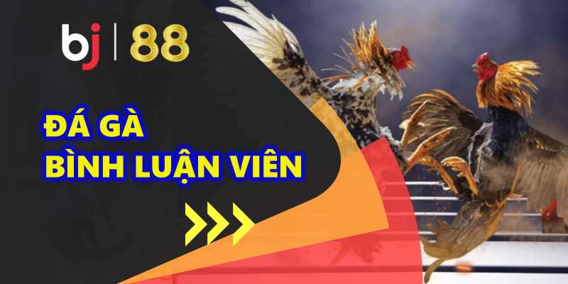 đá gà bình luận viên